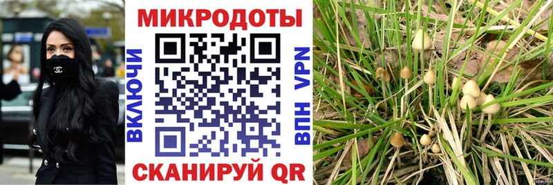 Галлюциногенные грибы MAGIC MUSHROOMS  Чусовой 